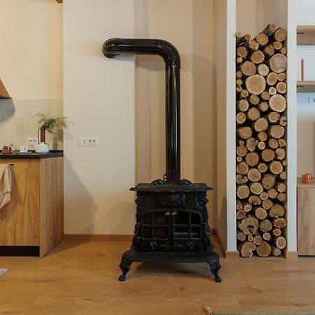 Roua Ludica Apartments Braşov Extérieur photo
